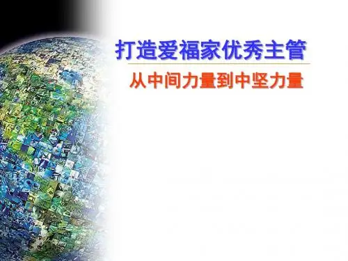 从中间力量到中坚力量概论(PPT 44张)