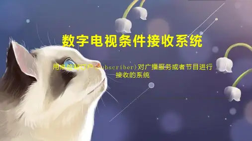 数字电视条件接收系统