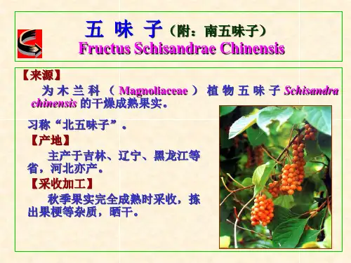 中药鉴定学课件-果实种子类