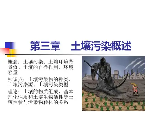 4 土壤污染概述