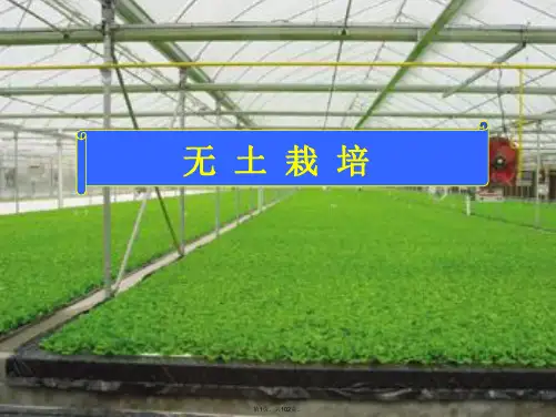 10-第十讲--无土栽培