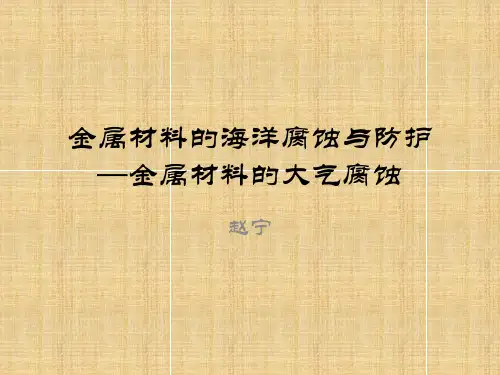 金属材料的海洋腐蚀与防护(第八章)(学生版)