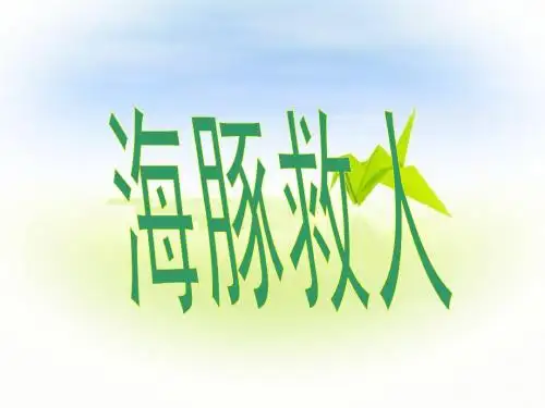 《海豚救人》课件(语文S版五年级下册课件)