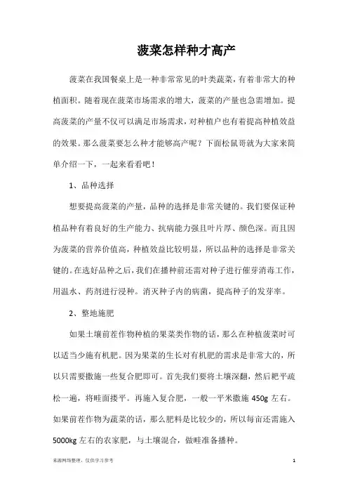 菠菜怎样种才高产