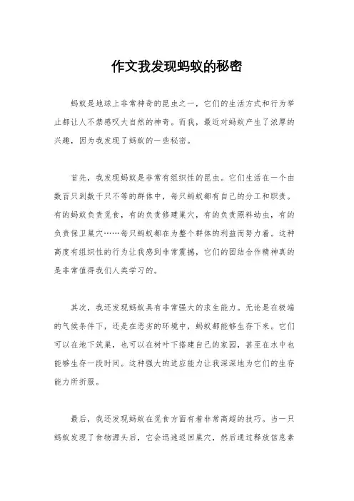 作文我发现蚂蚁的秘密