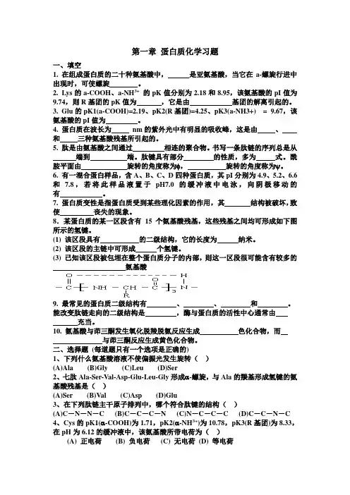 蛋白质化学习题