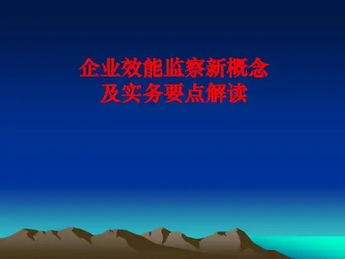 企业效能监察新概念及实务要点解读学员课件