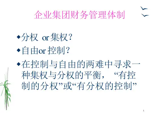 集团财务管理与控制-ppt课件