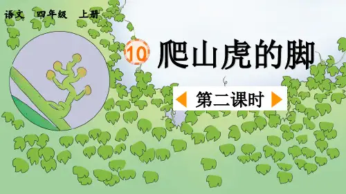 《爬山虎的脚》优质课件(第二课时)