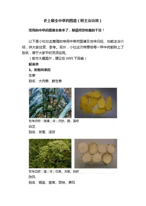 史上最全中草药图谱（附主治功效）