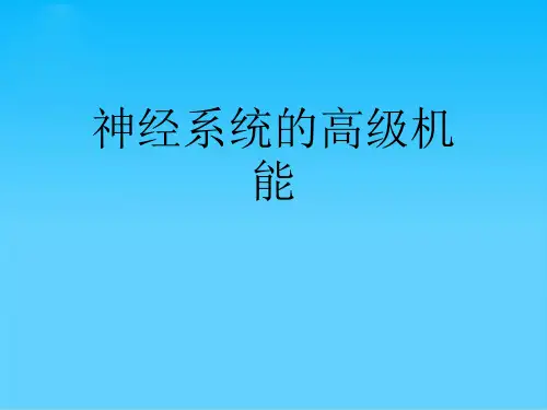 神经系统的高级机能