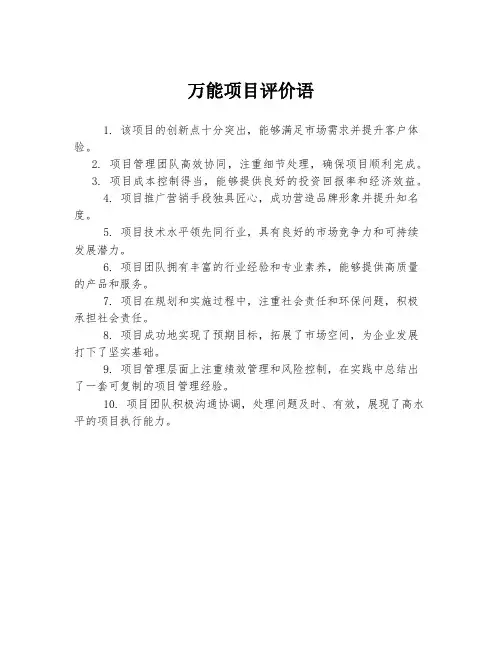 万能项目评价语