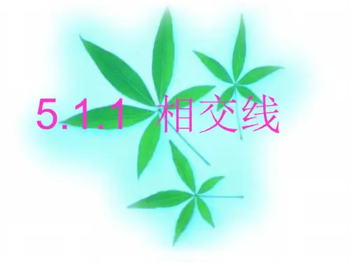 七年级数学相交线2_5047