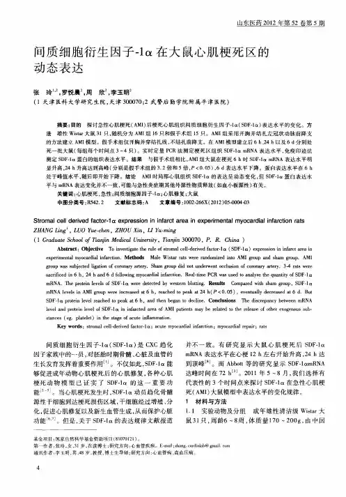 间质细胞衍生因子-1α在大鼠心肌梗死区的动态表达