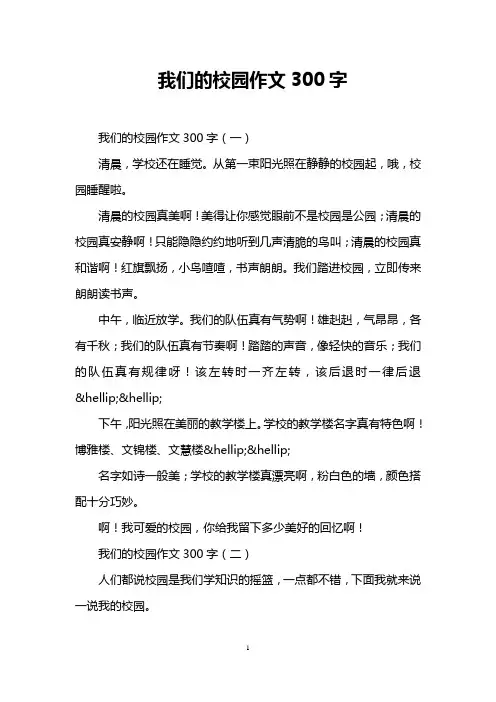我们的校园作文300字