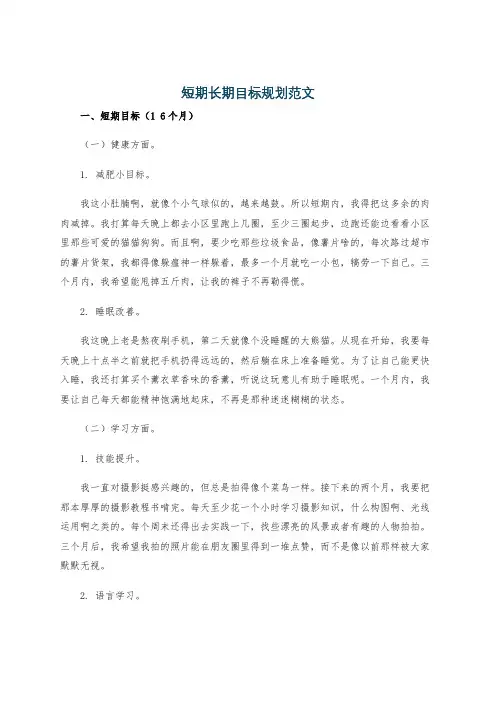 短期长期目标规划范文