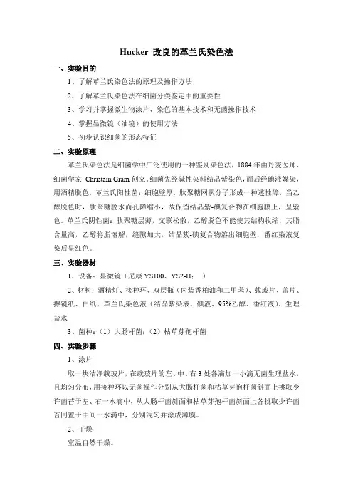 (完整版)Hucker改良的革兰氏染色法