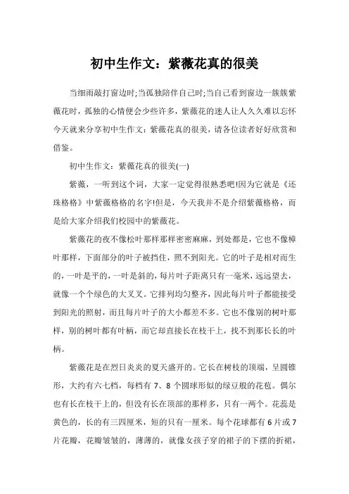 初中生作文：紫薇花真的很美