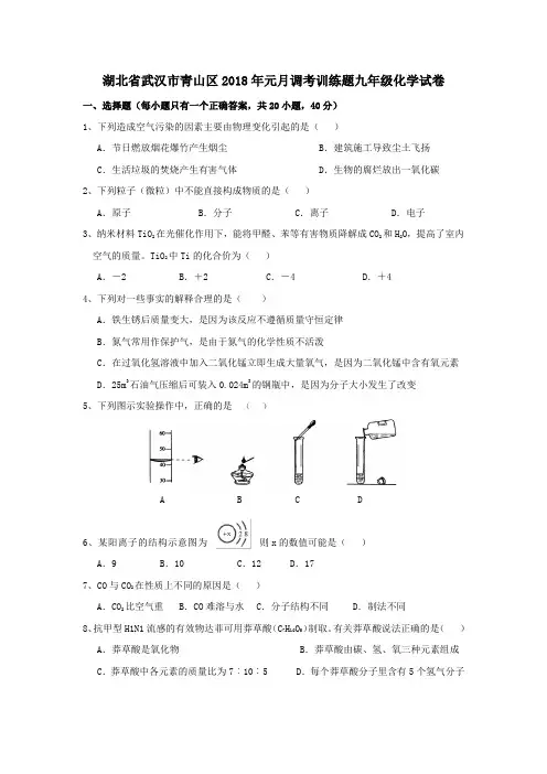湖北武汉青山2018年元月九年级调考训练试卷