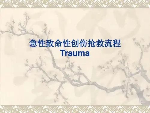 急性创伤的诊断治疗原则及抢救流程