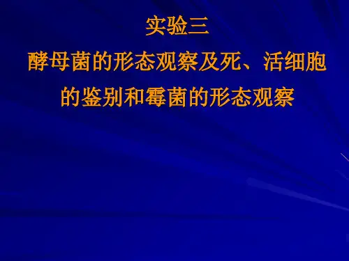 实验三、霉菌的形态观察和酵母菌的形态观察及死活细胞鉴别