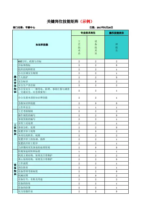 公司关键岗位技能矩阵(示例)