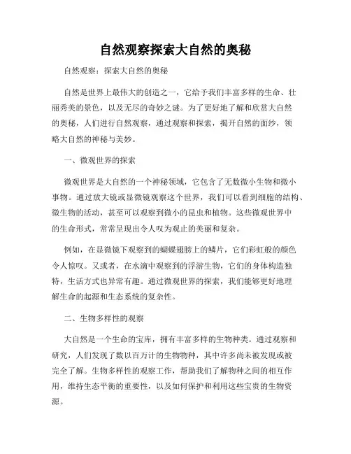 自然观察探索大自然的奥秘
