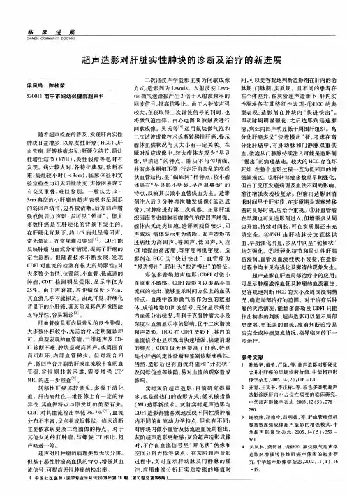 超声造影对肝脏实性肿块的诊断及治疗的新进展