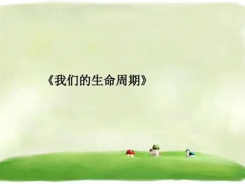 《我们的生命周期》精品课件 教科版 14