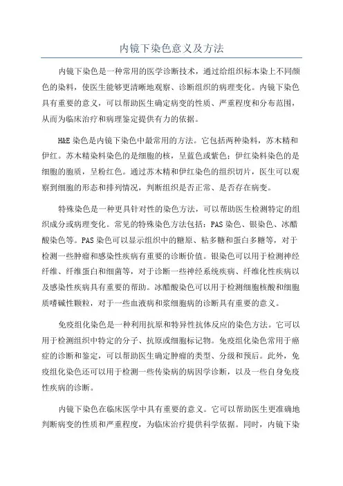 内镜下染色意义及方法