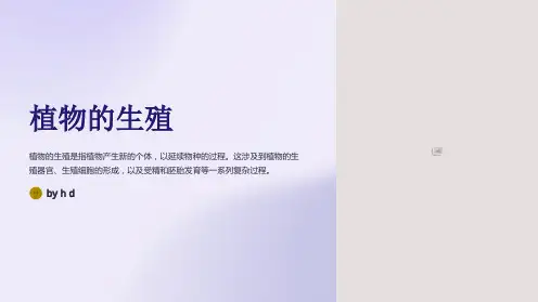 植物的生殖(说课稿PPT)