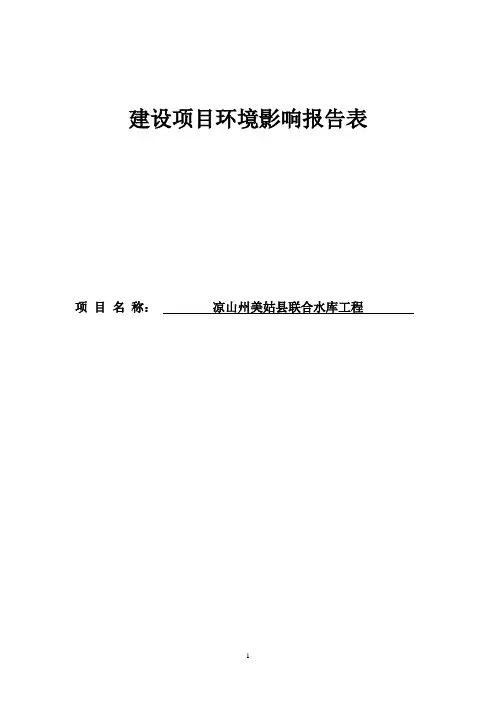 美姑县联合水库工程环境风险评估报告