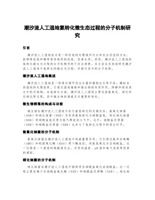 潮汐流人工湿地氮转化微生态过程的分子机制研究