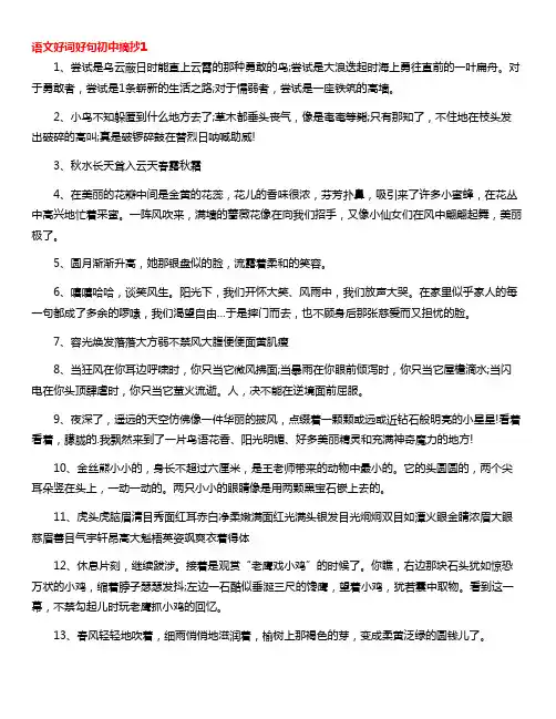 语文积累摘抄初中
