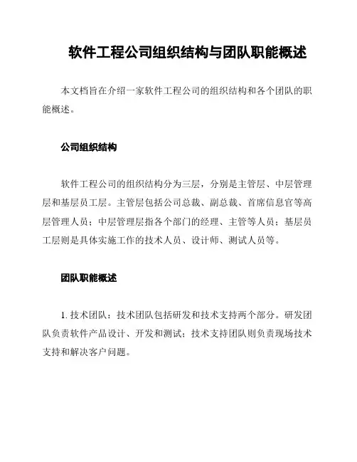 软件工程公司组织结构与团队职能概述