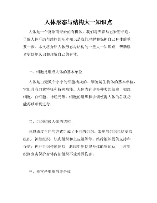 人体形态与结构大一知识点