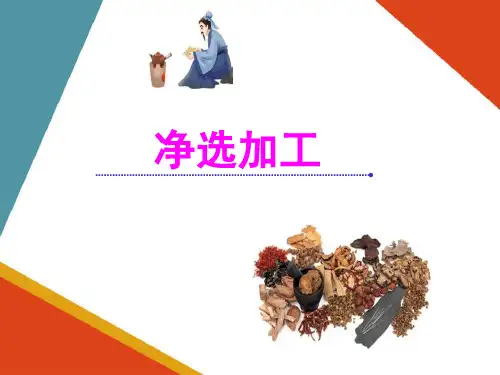净选加工—清除杂质(中药炮制技术课件)