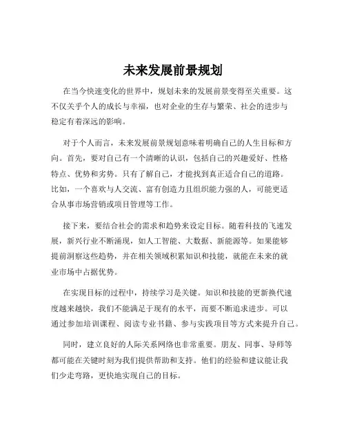未来发展前景规划