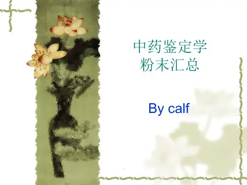中药鉴定学粉末鉴别汇总(图)最新版本