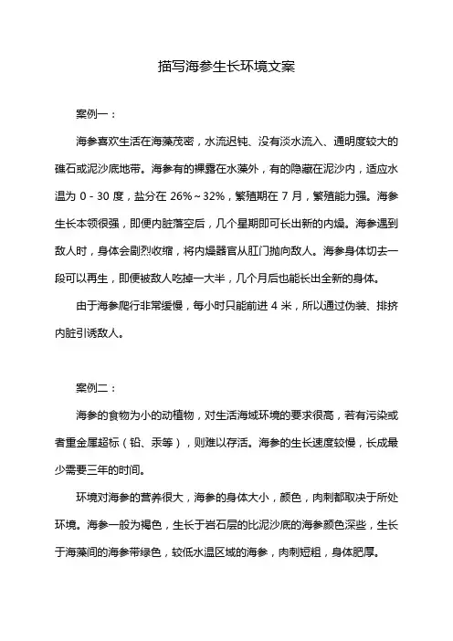 描写海参生长环境文案