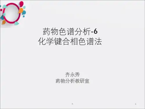 药物色谱分析PPT课件