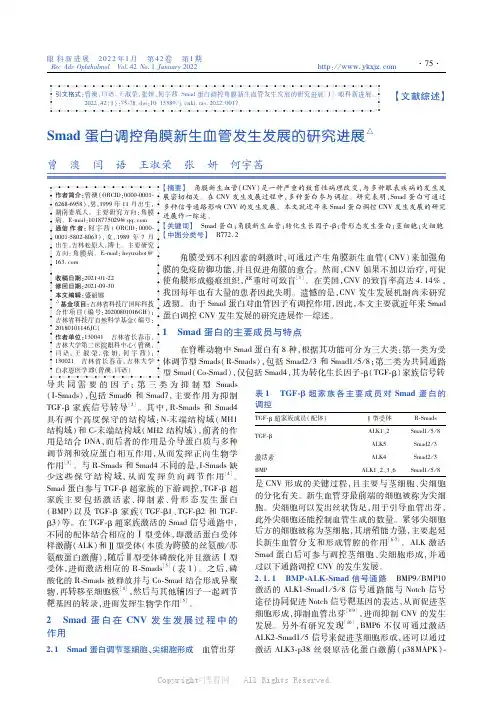 Smad蛋白调控角膜新生血管发生发展的研究进展
