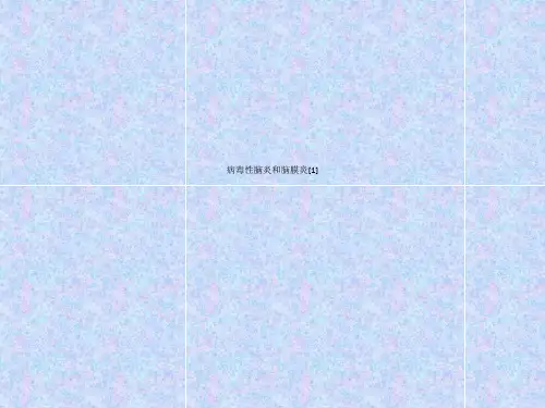 病毒性脑炎和脑膜炎PPT.ppt