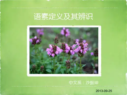 现代汉语语汇单位——语素