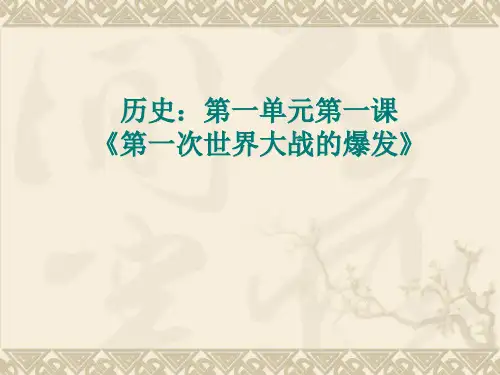 《第一次世界大战的爆发》课件