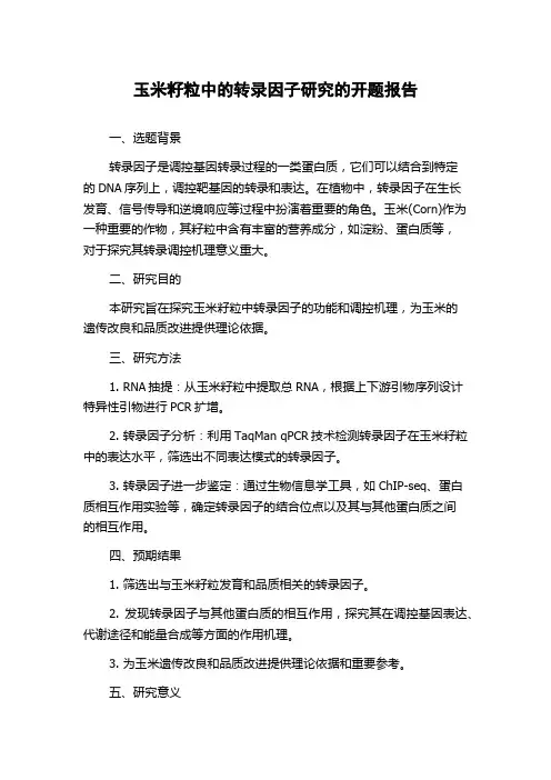 玉米籽粒中的转录因子研究的开题报告