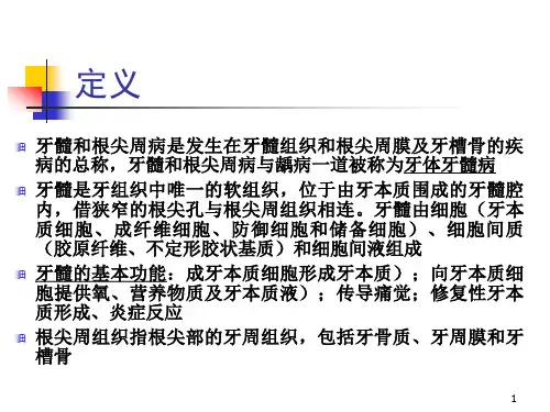 牙髓和根尖周病PPT课件