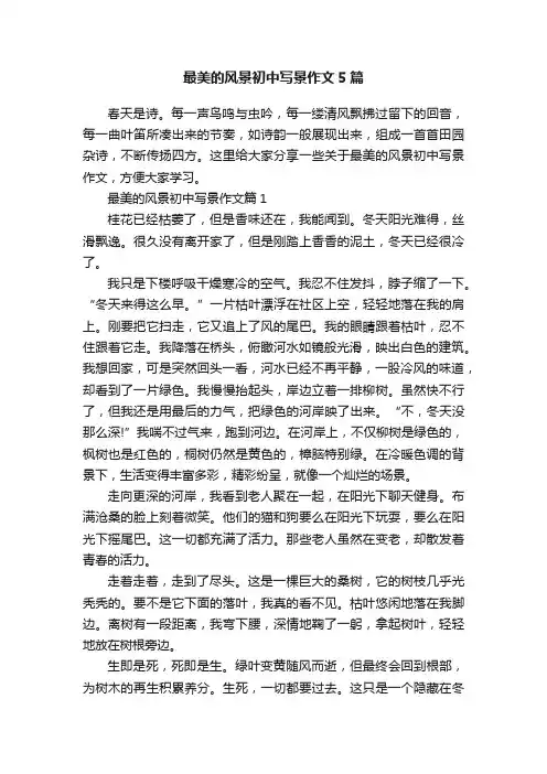 最美的风景初中写景作文5篇