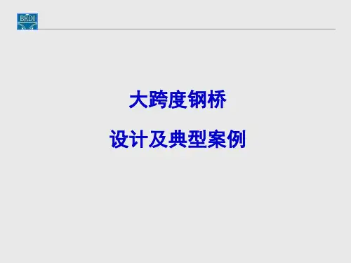 大跨度钢桥设计典型案例