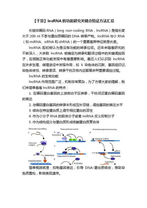 【干货】lncRNA的功能研究关键点验证方法汇总